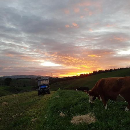 Above The River Karapiro Bed & Breakfast Εξωτερικό φωτογραφία
