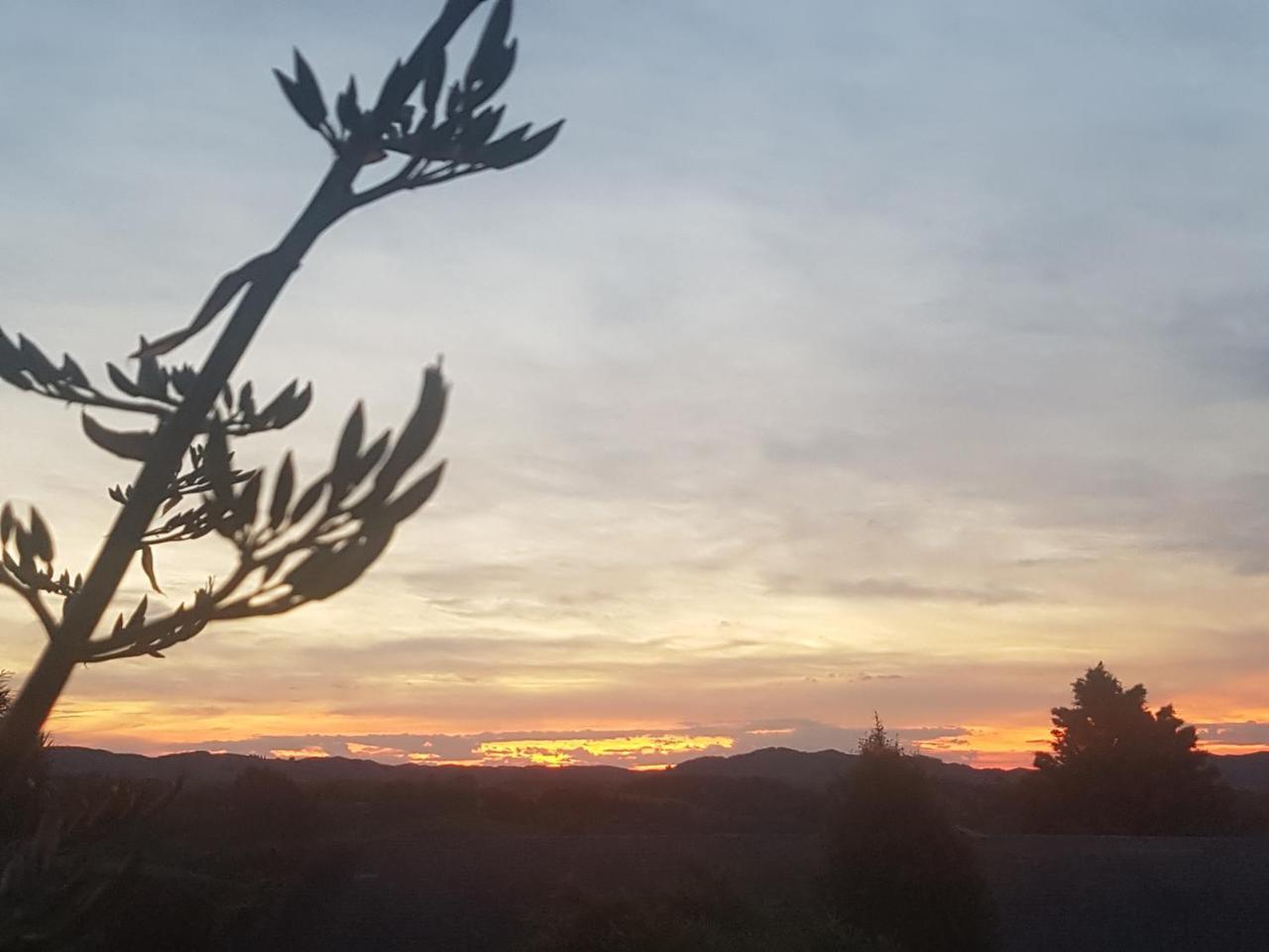 Above The River Karapiro Bed & Breakfast Εξωτερικό φωτογραφία