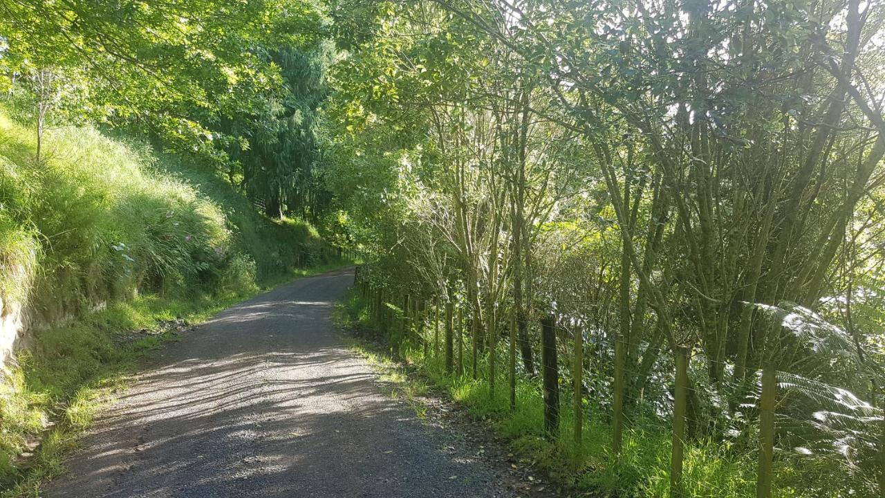 Above The River Karapiro Bed & Breakfast Εξωτερικό φωτογραφία